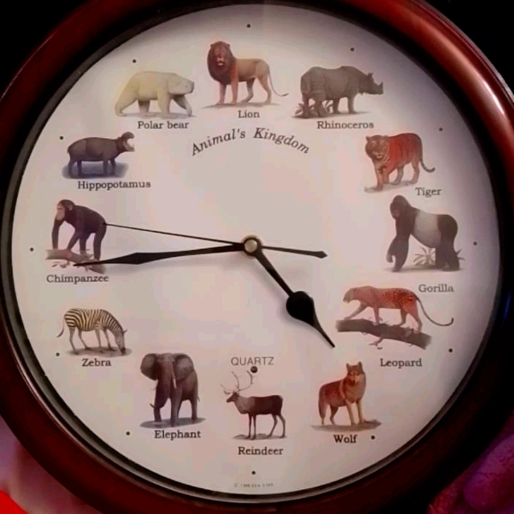 Animal Kingdom Clock Sounds